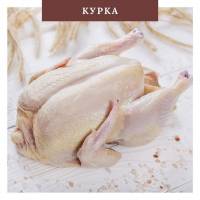Курка Курка