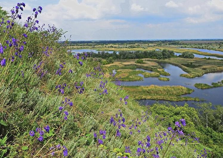 Про нас